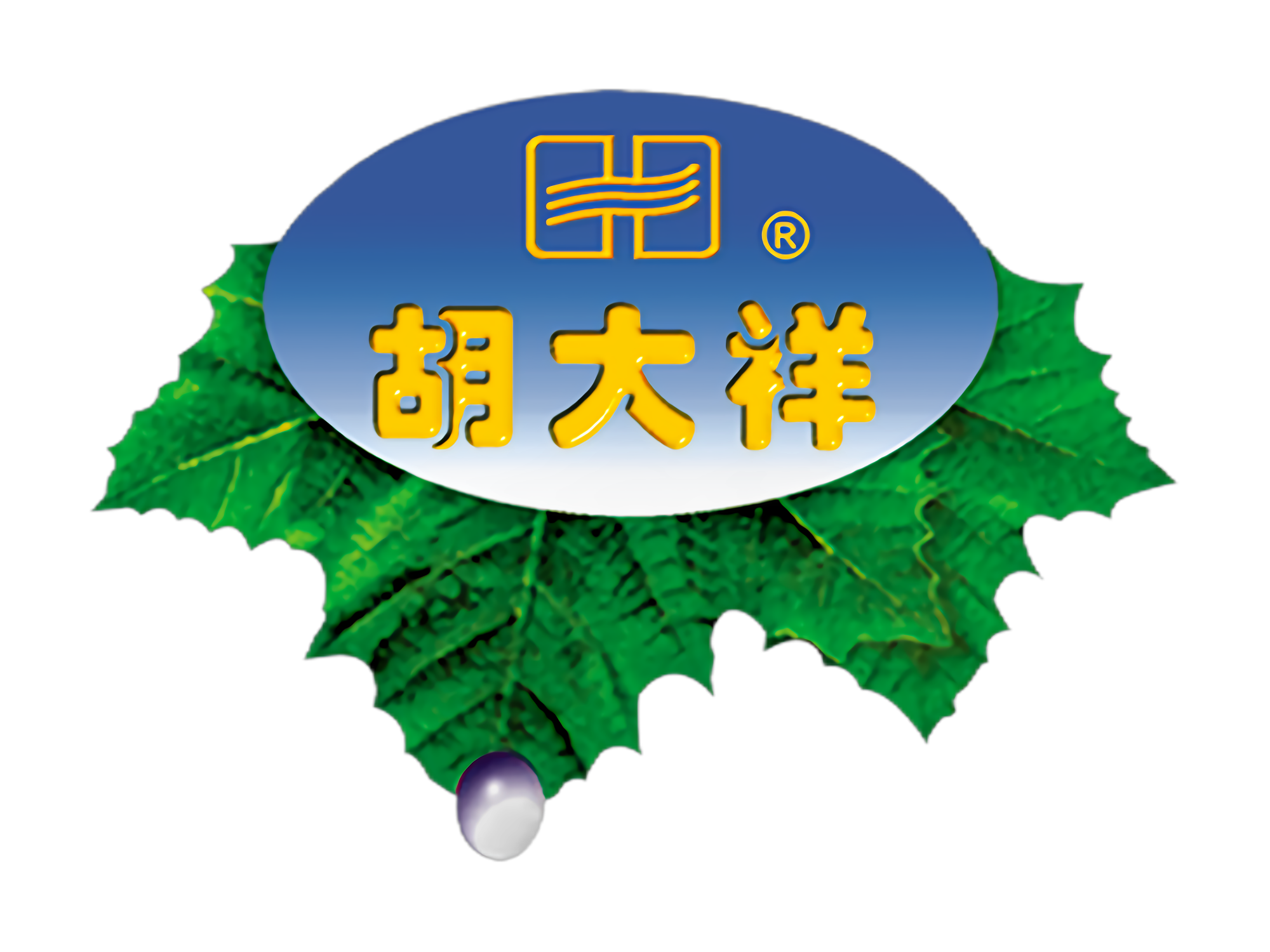 胡大祥